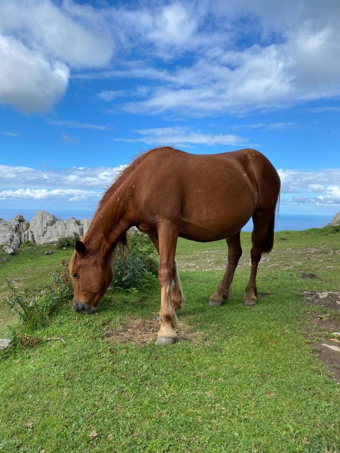 Villa El Tinganon Llanes Eksteriør bilde